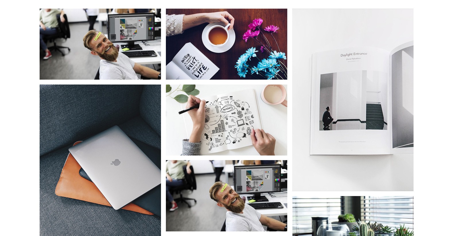Grid Portfolio